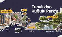  Ankara'nın Kalbinde Bir Gün: Tunalı Hilmi Caddesi ve Kuğulu Park Gezisi...