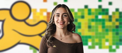 Pelinsu